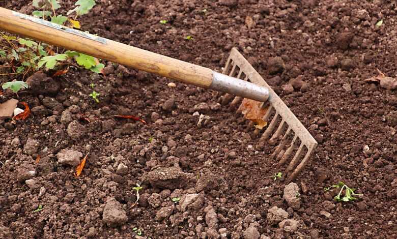 rake, gardening, garden, agriculture, work, tool, gardener, equipment, outdoor, raking, rural, soil, cultivation, earth, surface, ground, texture, nature, land, planting, nobody, brown, cultivated, dirt, farmland, weeding, brown earth, brown work, brown texture, brown garden, brown gardening, brown tools