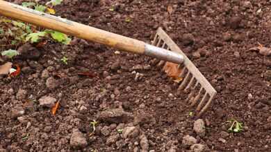 rake, gardening, garden