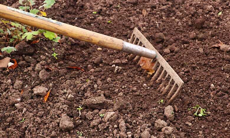 rake, gardening, garden