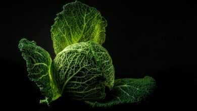 vegetable, cabbage, green, food, fresh, raw, leaves, green food, nature, green vegetable, green leaves, healthy, black background, food photography