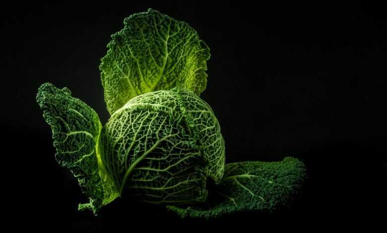 vegetable, cabbage, green, food, fresh, raw, leaves, green food, nature, green vegetable, green leaves, healthy, black background, food photography