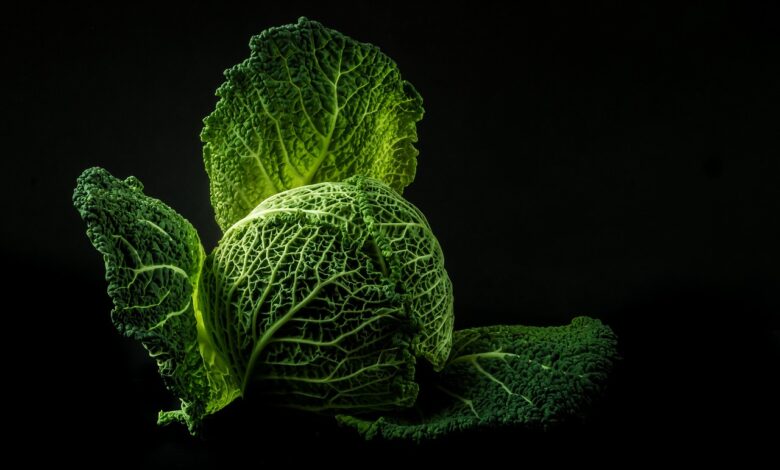 vegetable, cabbage, green, food, fresh, raw, leaves, green food, green vegetable, green leaves, healthy, nature, black background, food photography