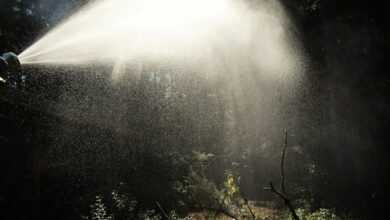 a fire hydrant spewing water into the air