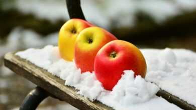 apples, snow, winter