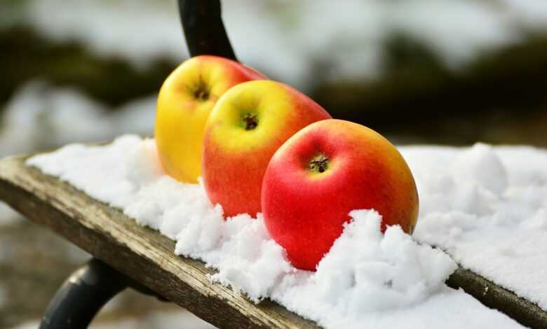 apples, snow, winter