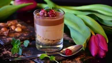 nougat, mousse, chocolate mousse, dessert, food, nourishment, meal, sweet dish, enjoyment, yummy, cream, cute, creamy, glass, chocolate, nuts, sugar, delicious, spring, nature, tulips, still life, food photo, hazelnuts