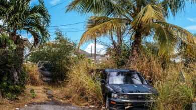 A Broken-down Black Car Surrounded By Tall Weeds