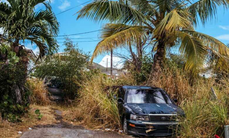 A Broken-down Black Car Surrounded By Tall Weeds