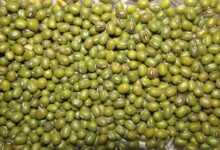legume, beans, food, vegetable, seed, nutrition, healthy, vegetarian, legume, legume, legume, legume, legume