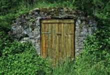 basement, cellar, storage cellar