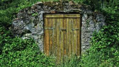 basement, cellar, storage cellar