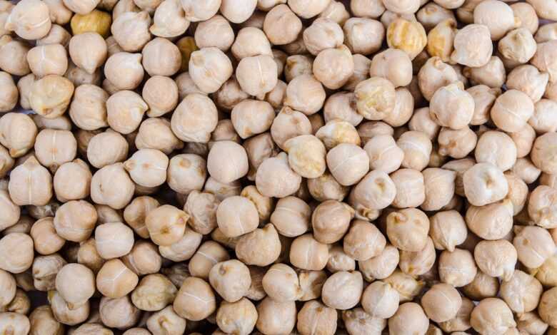 chickpea, india, grain