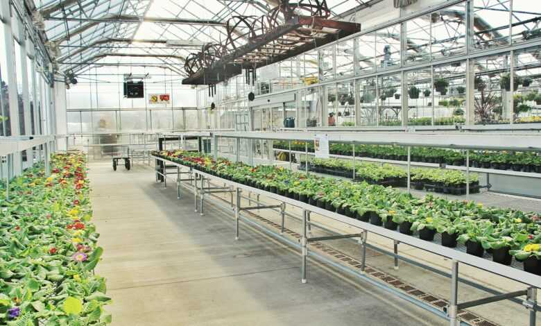 greenhouse, industry, business, conservatory, station, greenhouse, greenhouse, greenhouse, greenhouse, greenhouse