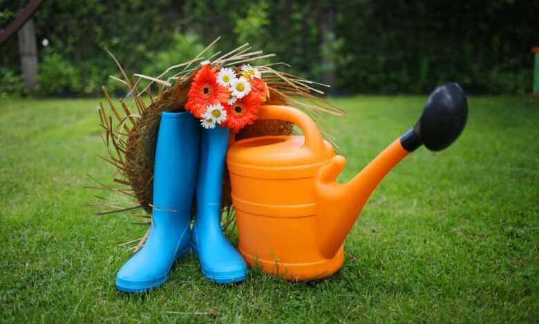 garden, garden tools, gerbera