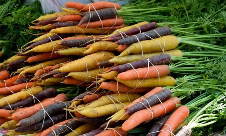 vegetable, food, carrot