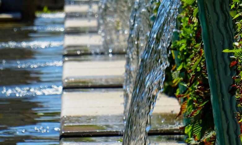 Outdoor Water Fountain Near Green Leafed Plant