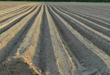 soil, preparation, planting, pole, the earth, agriculture, lines