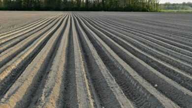 the earth, adjustment, field, nature, pole, preparation, seeding, agriculture, soil