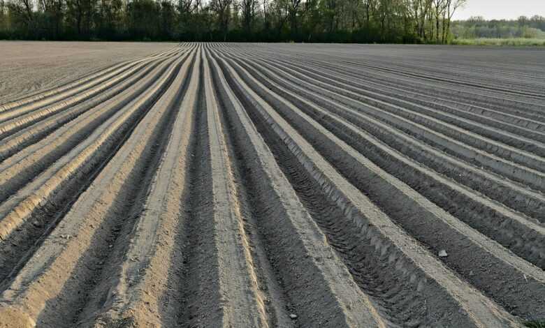 the earth, adjustment, field, nature, pole, preparation, seeding, agriculture, soil