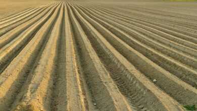 the earth, adjustment, field, nature, pole, preparation, seeding, agriculture, soil