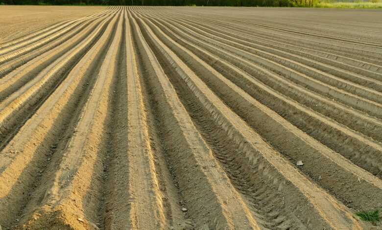 the earth, adjustment, field, nature, pole, preparation, seeding, agriculture, soil