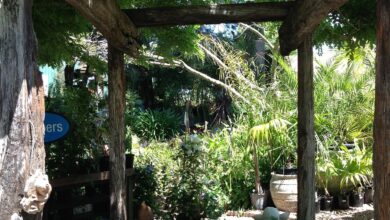 pergola, rustic pergola, garden walk, rustic, pavilion, garden, architecture, nature, plant, gazebo, gardening, sunshade, outdoors