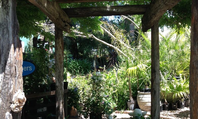 pergola, rustic pergola, garden walk, rustic, pavilion, garden, architecture, nature, plant, gazebo, gardening, sunshade, outdoors