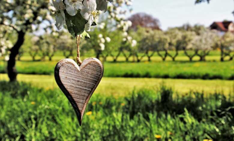 spring, beautiful flowers, feeling