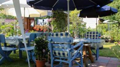 fixed, garden, celebration, summer, party, nature, garden party, birthday party, chair, table, garden furniture, warm welcome, summer party, barbecue party, time out, quitting time, recreation