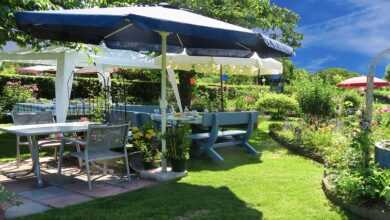 fixed, garden, celebration, summer, party, garden party, birthday party, chair, table, garden furniture, warm welcome, summer party, barbecue party, time out, quitting time, nature, recreation