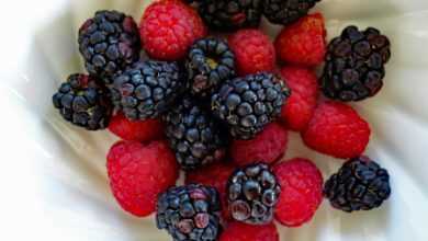 raspberry, raspberries, berry, blackberry, blackberries