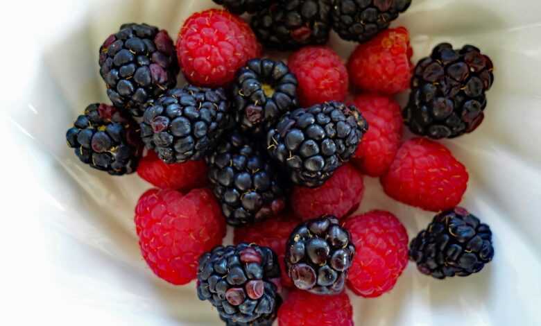 raspberry, raspberries, berry, blackberry, blackberries