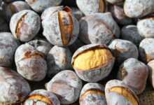 chestnuts, roasted chestnuts, chestnut, chestnuts, chestnuts, roasted chestnuts, roasted chestnuts, roasted chestnuts, roasted chestnuts, roasted chestnuts