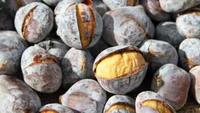 chestnuts, roasted chestnuts, chestnut, chestnuts, chestnuts, roasted chestnuts, roasted chestnuts, roasted chestnuts, roasted chestnuts, roasted chestnuts