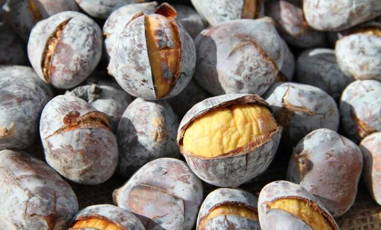 chestnuts, roasted chestnuts, chestnut, chestnuts, chestnuts, roasted chestnuts, roasted chestnuts, roasted chestnuts, roasted chestnuts, roasted chestnuts