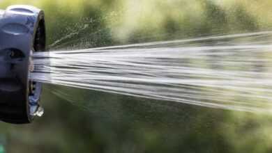 hose, water, garden, nature, gardening, spray, watering, sprinkler