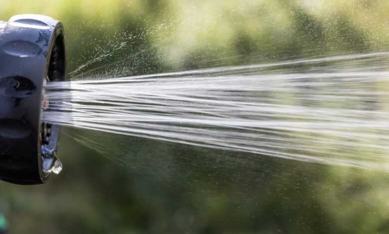 hose, water, garden, nature, gardening, spray, watering, sprinkler