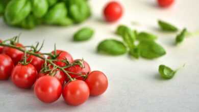 tomatoes, basil, food