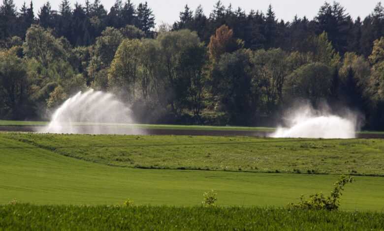 water, fields, bust