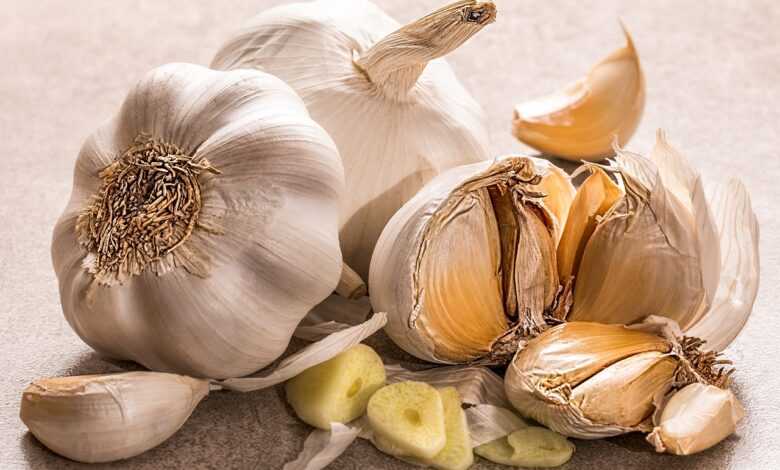 garlic, ingredient, flavoring