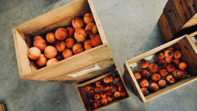 peach, fruits, food, organic, fresh, harvest, healthy, produce, ripe, wooden boxes, storage, store, peach, peach, peach, peach, peach, storage, storage, storage, store, store, store, store, store