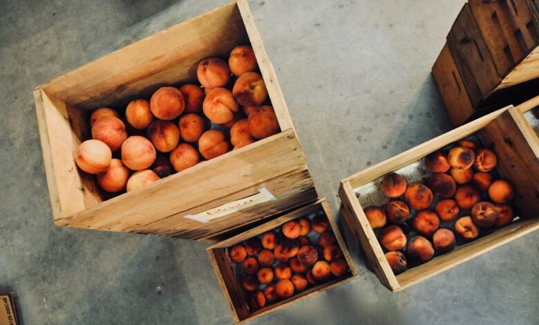 peach, fruits, food, organic, fresh, harvest, healthy, produce, ripe, wooden boxes, storage, store, peach, peach, peach, peach, peach, storage, storage, storage, store, store, store, store, store