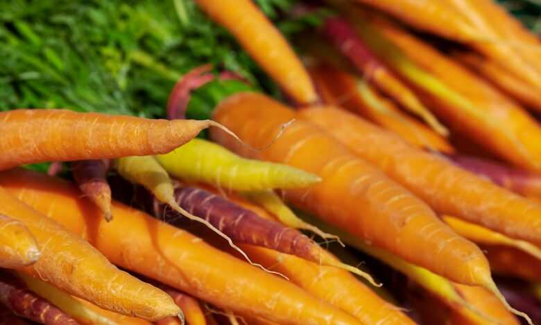 carrots, vegetables, produce