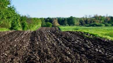 fields, field, landscape