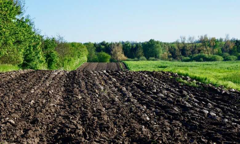 fields, field, landscape