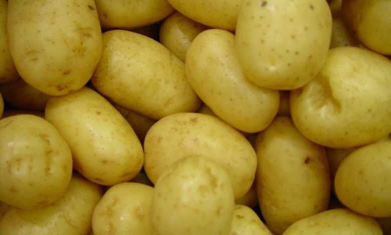 potatoes, vegetables, raw