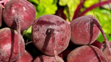 beetroot, vegetables, healthy