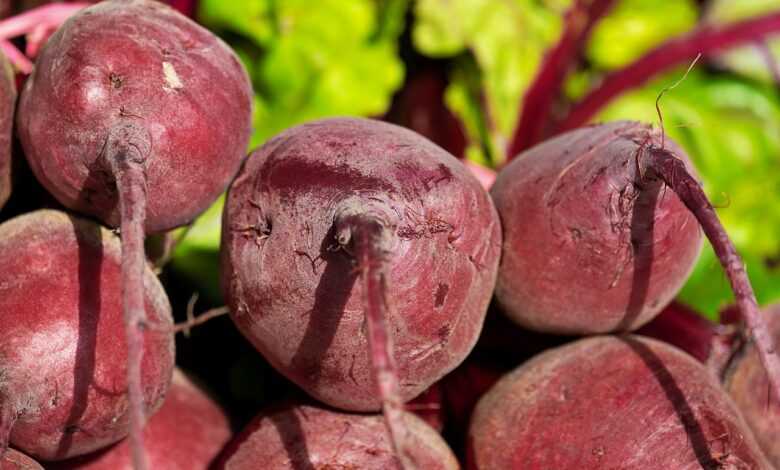 beetroot, vegetables, healthy