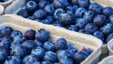 blueberries, berries, fruits