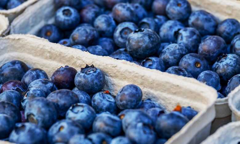 blueberries, berries, fruits